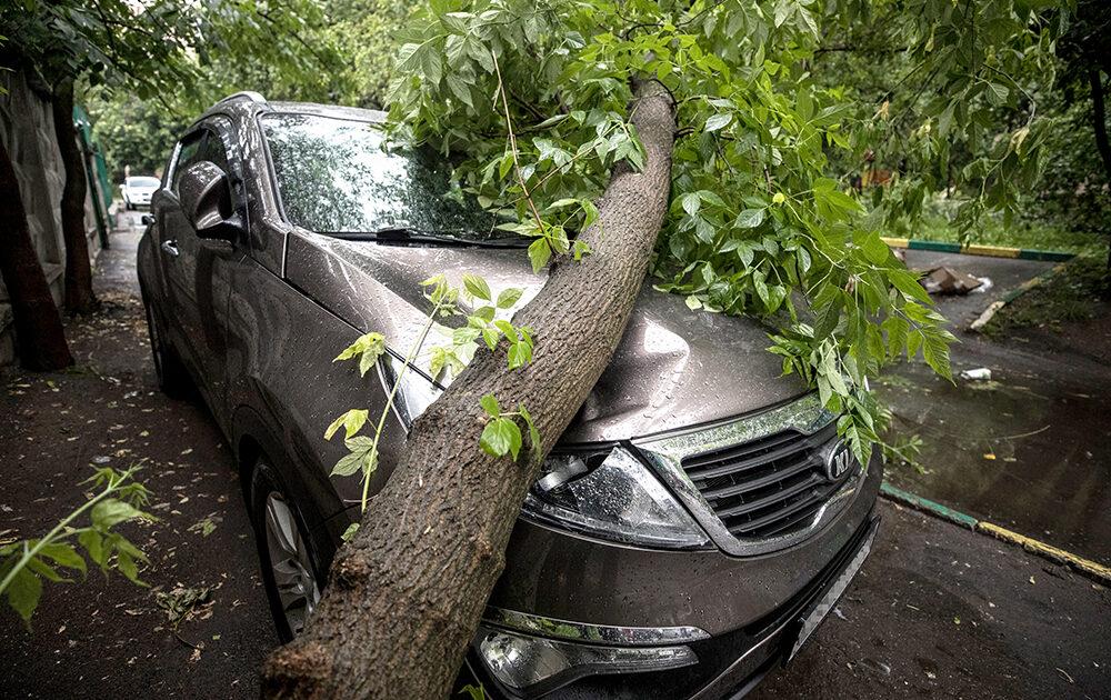 Бишкектеги катуу шамал 16 млн 749,9 миң сом чыгым алып келди