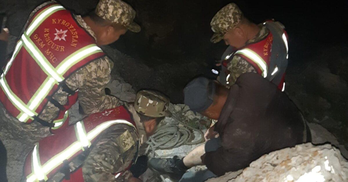 Тоодон түшө албай калган 61 жаштагы жаран куткарылды