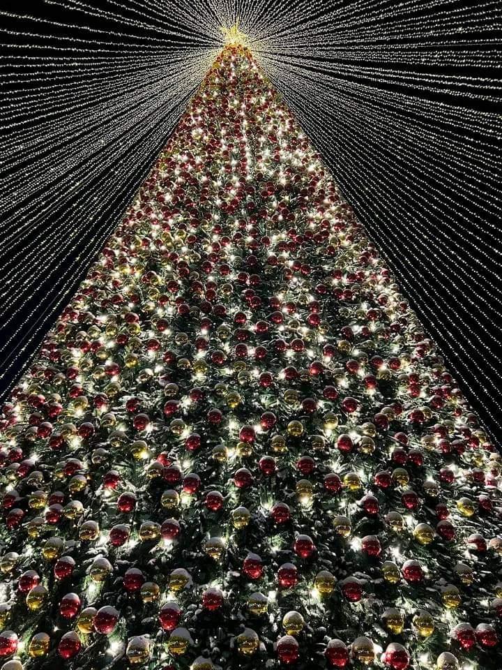 Мэрия Бишкека подготовила новогоднюю программу для горожан и гостей столицы 31 декабря