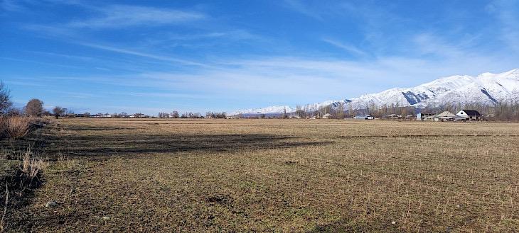 Ысык-Көл облусунда Көлбаевге тиешелүү 115 гектар жер мамлекетке кайтарылды