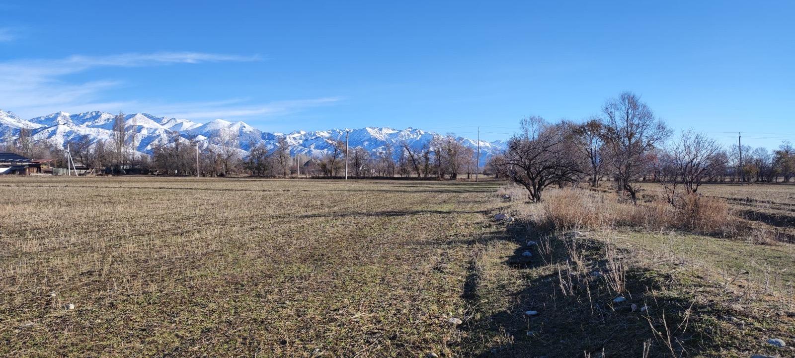 Ысык-Көл облусунда Көлбаевге тиешелүү 115 гектар жер мамлекетке кайтарылды