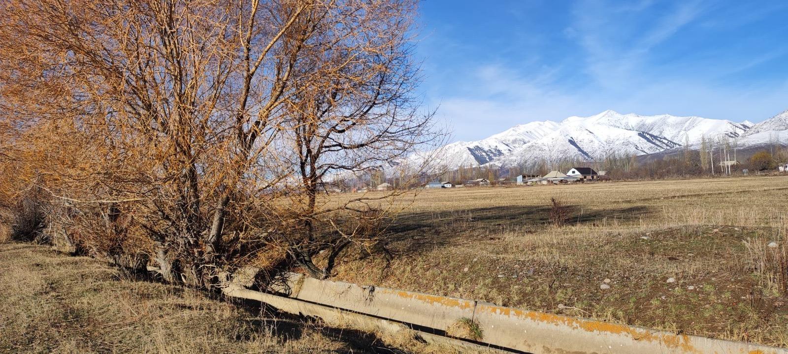 Ысык-Көл облусунда Көлбаевге тиешелүү 115 гектар жер мамлекетке кайтарылды