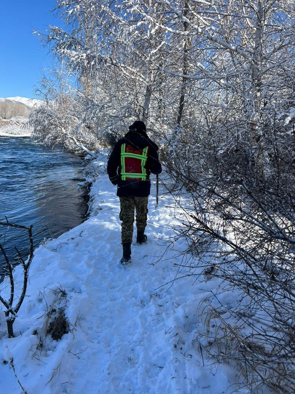 Кеминде жайлоого кетип, дайынсыз болуп жаткан жаран изделүүдө