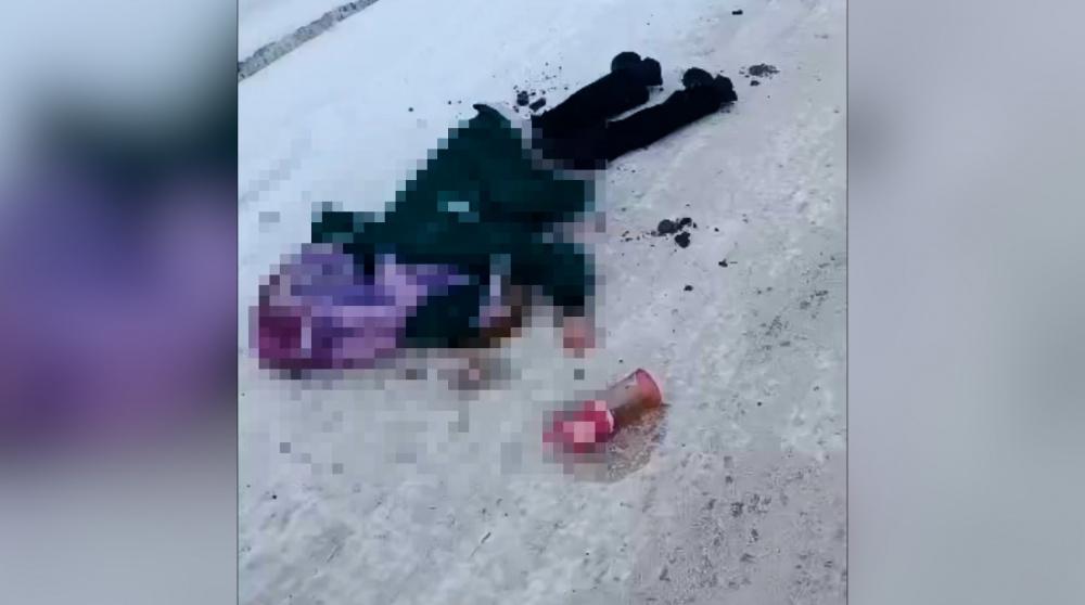 Бишкекте фуранын айдоочусу 10 жаштагы кызды тебелеп кетти