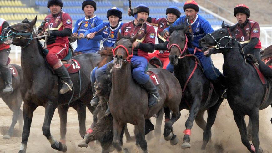 Көк бөрүнү Дүйнөлүк көчмөндөр оюнунун катарына кошуу аракети көрүлүүдө