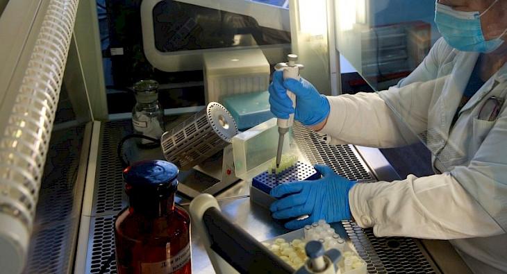Кыргызстанда бир аптада короновирустун 4 учуру катталды
