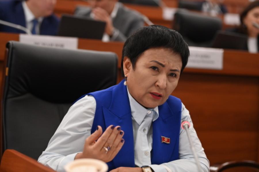 3 жашар кыздын өлүмү. Дарыгерге коюлган жазага депутат нааразы болууда (Видео)