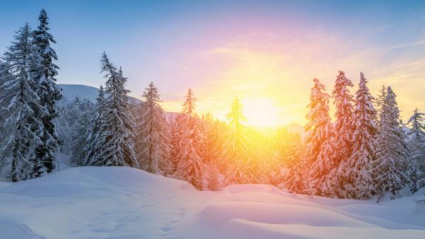 Прогноз погоды на 1 февраля: тепло до +6