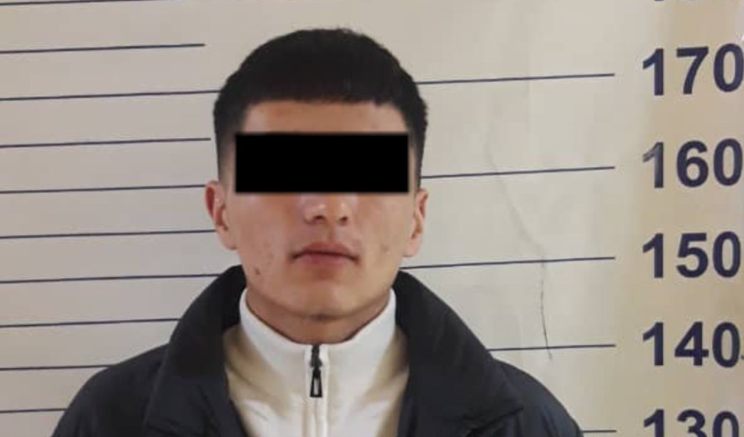 Бишкекте тоноого шектелген жаран кармалды