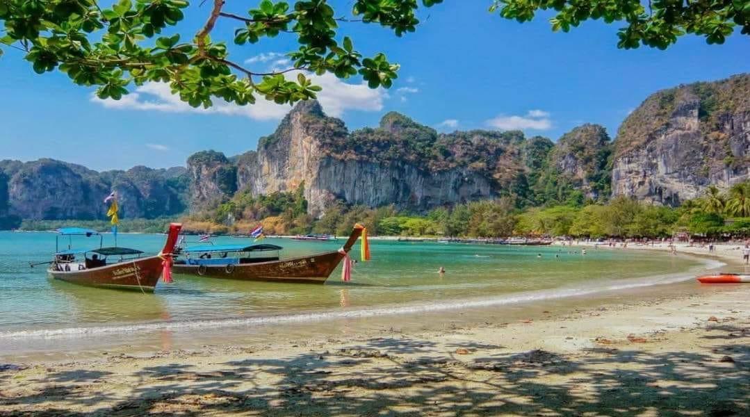 Таиланддын курорттук аралында коркунучтуу вирустан улам, саякаттоого баргандар артка кайта албай жатышат
&nbsp;