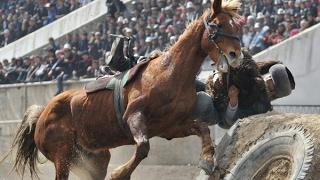 &ldquo;Башына кан уюп калган&rdquo;. Караколдо көк бөрүдөн жабыркаган жигит комага түштү