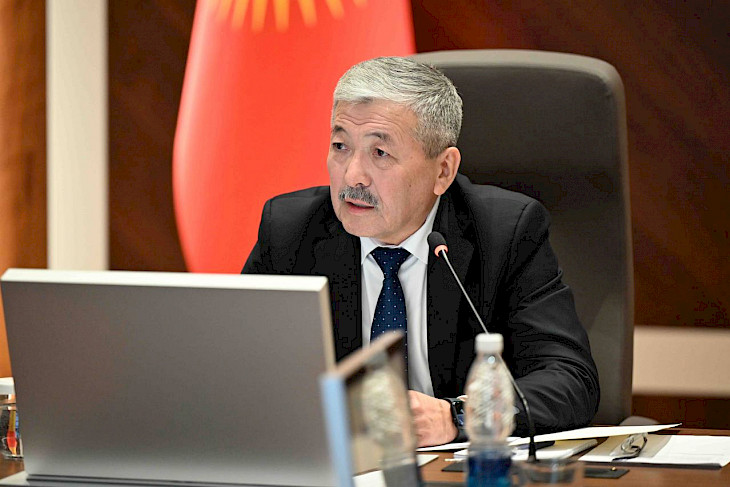 МинКаб төрагасы мамлекеттик жана жеке менчик бала бакчаларга видео камера орнотууну тапшырды