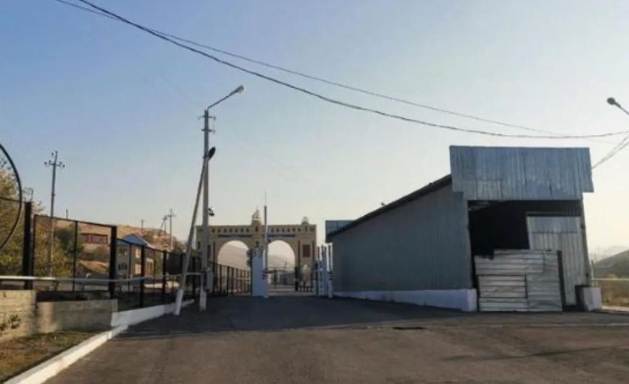 Тажикстанда жетим калган 3 кыргыз бала Кыргызстанга өткөрүлдү