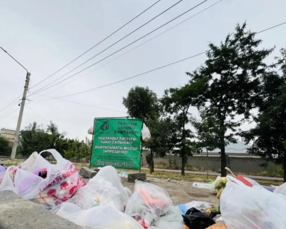 Тазалыкты сактабагандарга 1 миллион сомдук ашык айып салынды