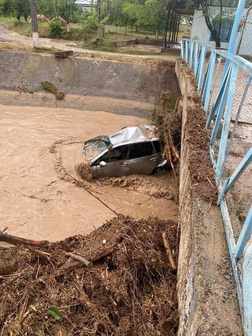Сели в Оше. Более 140 спасателей ищут женщину, пропавшую во время паводков