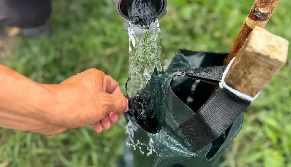 Бишкекте дарактарды сугаруу үчүн атайын баштыктар колдонула баштады&nbsp;