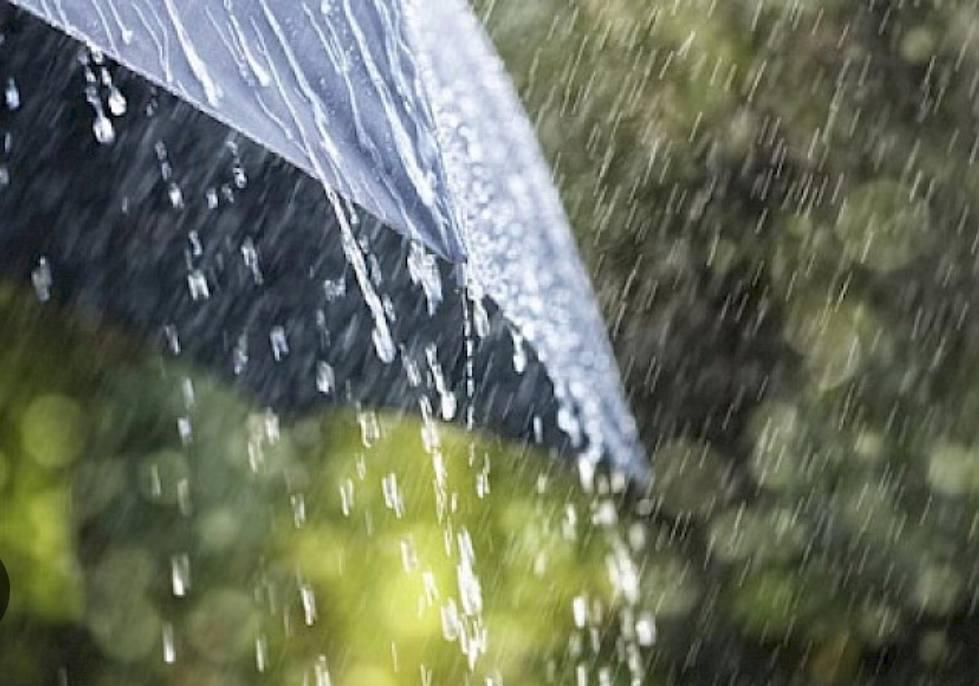 Өлкөнүн көпчүлүк аймактарында жаан жайт