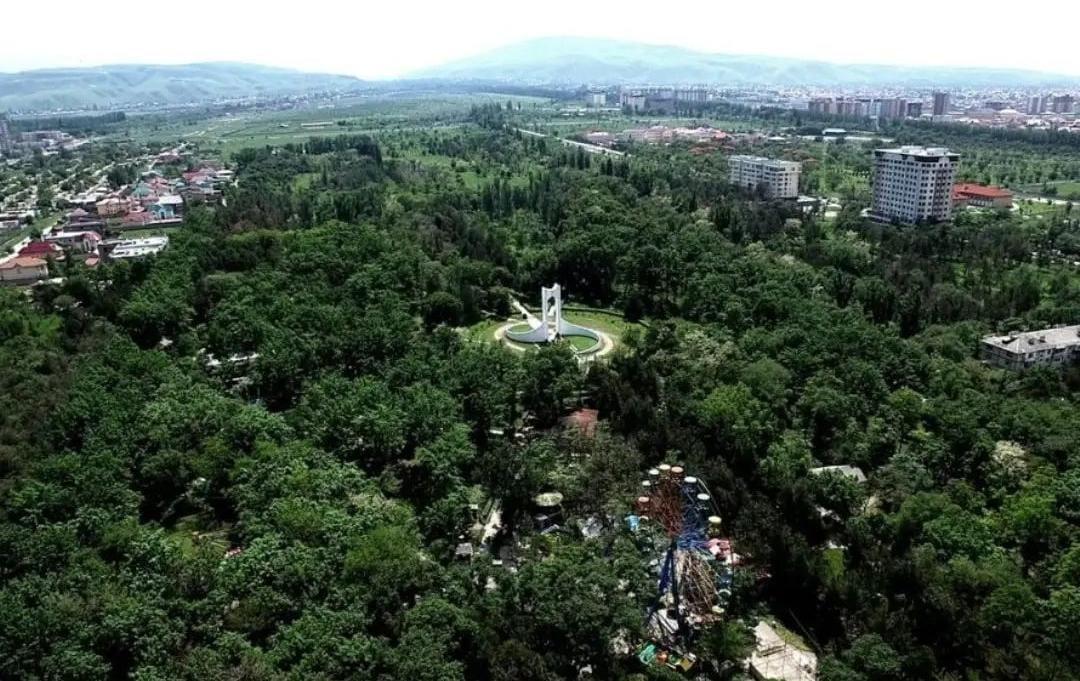 Ататүрк паркындагы жашоочу каза болду.