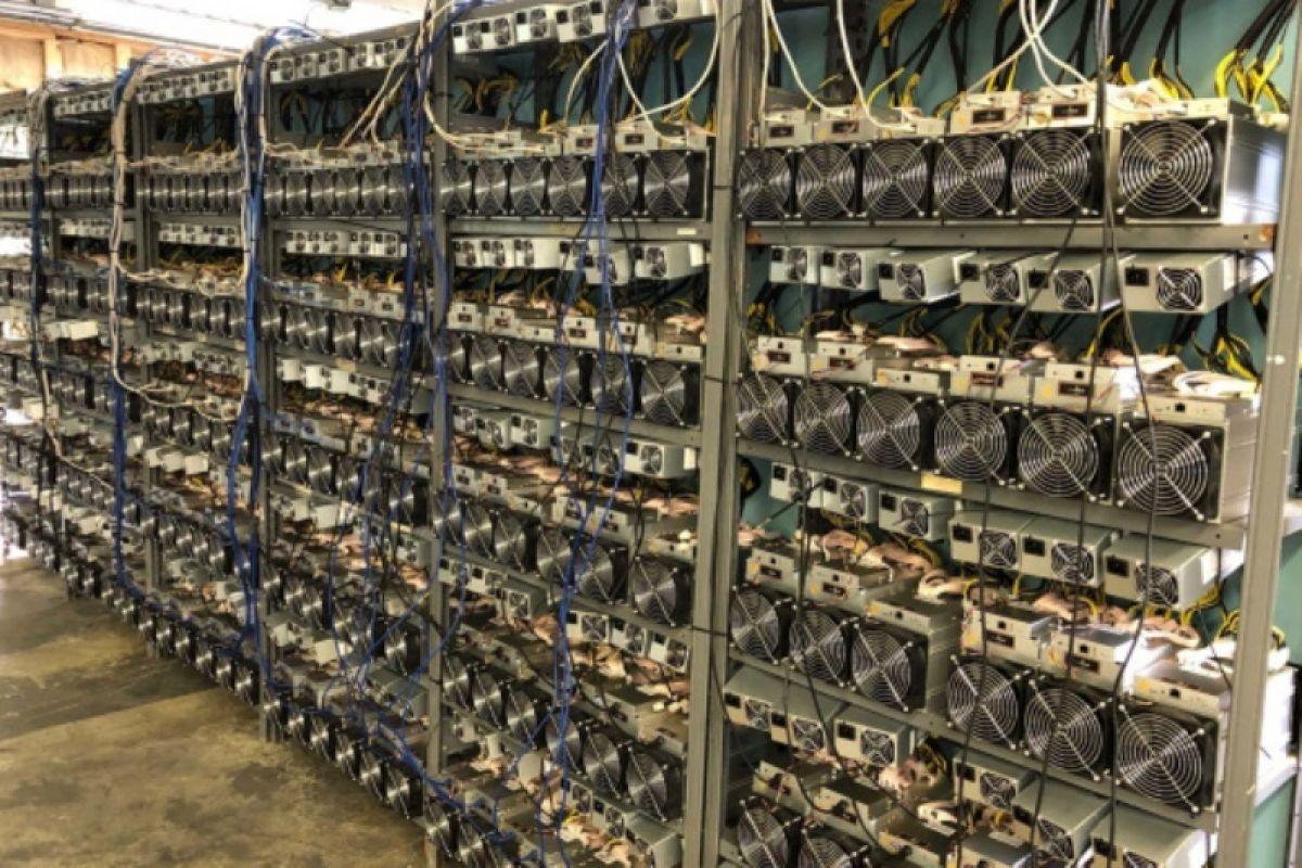 Кара-Суу жана Ноокатта мыйзамсыз иштеген майнинг-фермалар аныкталды