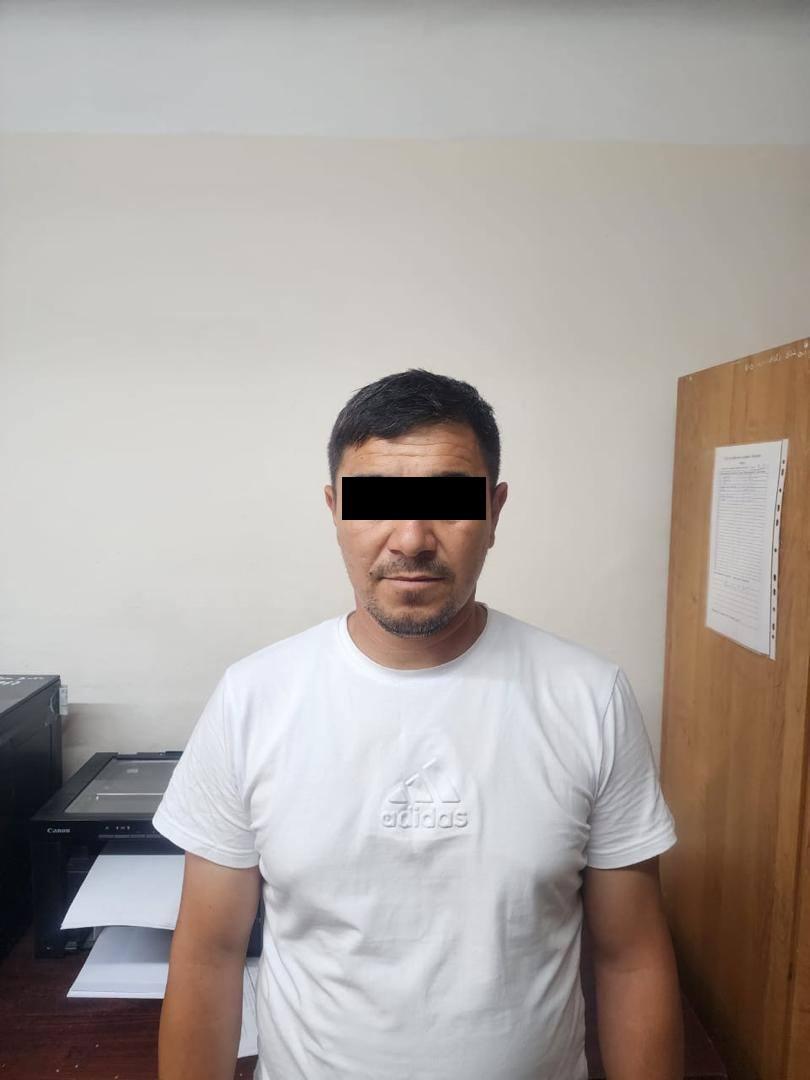 Мыйзамсыз миграция уюштурган эки чет элдик жаран кармалды