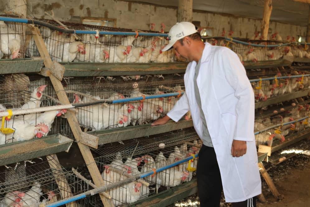 Баткенде 52 ишкер 1 млн сомго чейин гранттарды алышты