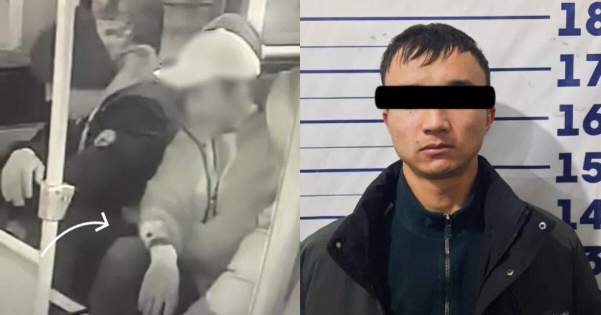 Бишкекте уурулукка шектелген жаран кармалды