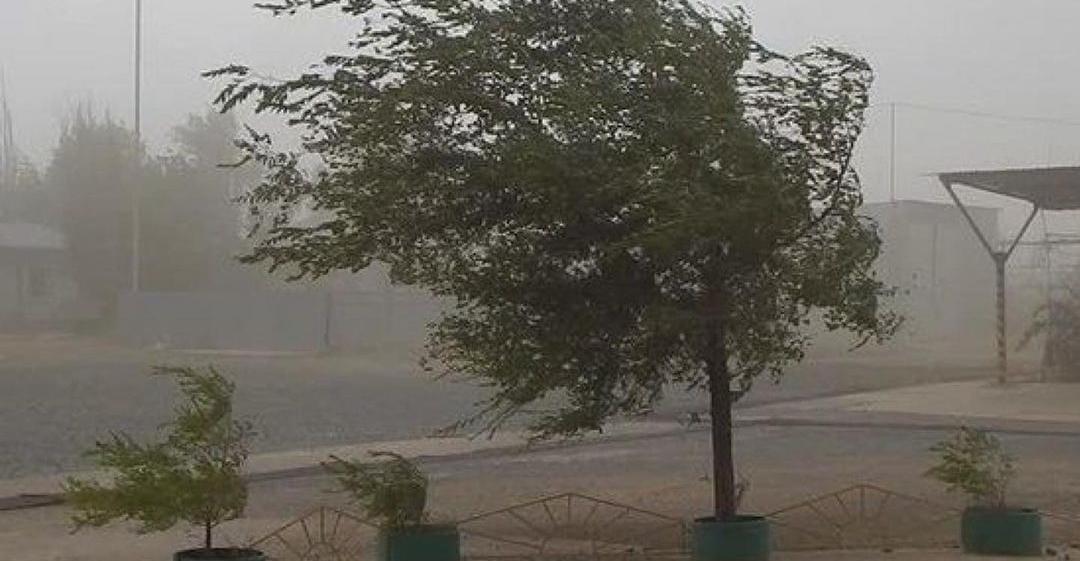 В Бишкеке и Чуйской области ожидается сильный ветер