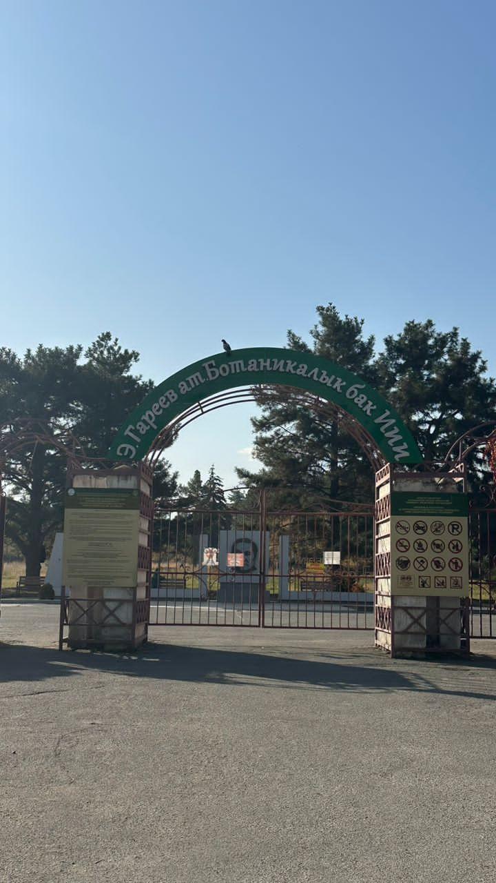 31 млн сом зыян: Мурдагы чиновниктер кармалды