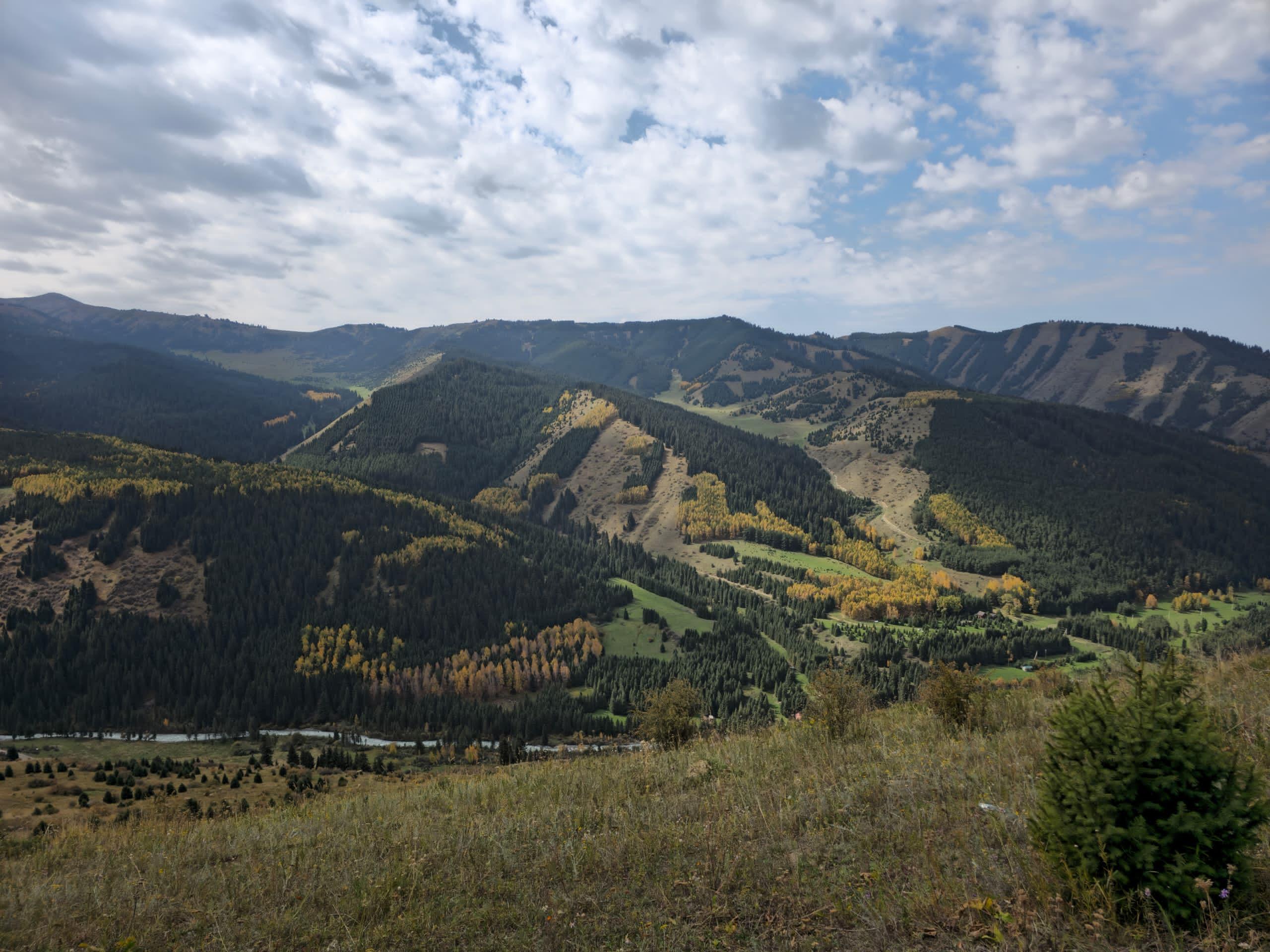 &ldquo;Каракол&rdquo; мамлекеттик жаратылыш паркынын 120 гектардан ашык аянты мамлекетке кайтарылды