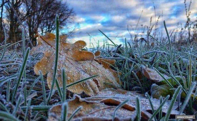 Дем алыш күндөрү Кыргызстандын түндүгүндө күн сууктап, үшүк жүрөт